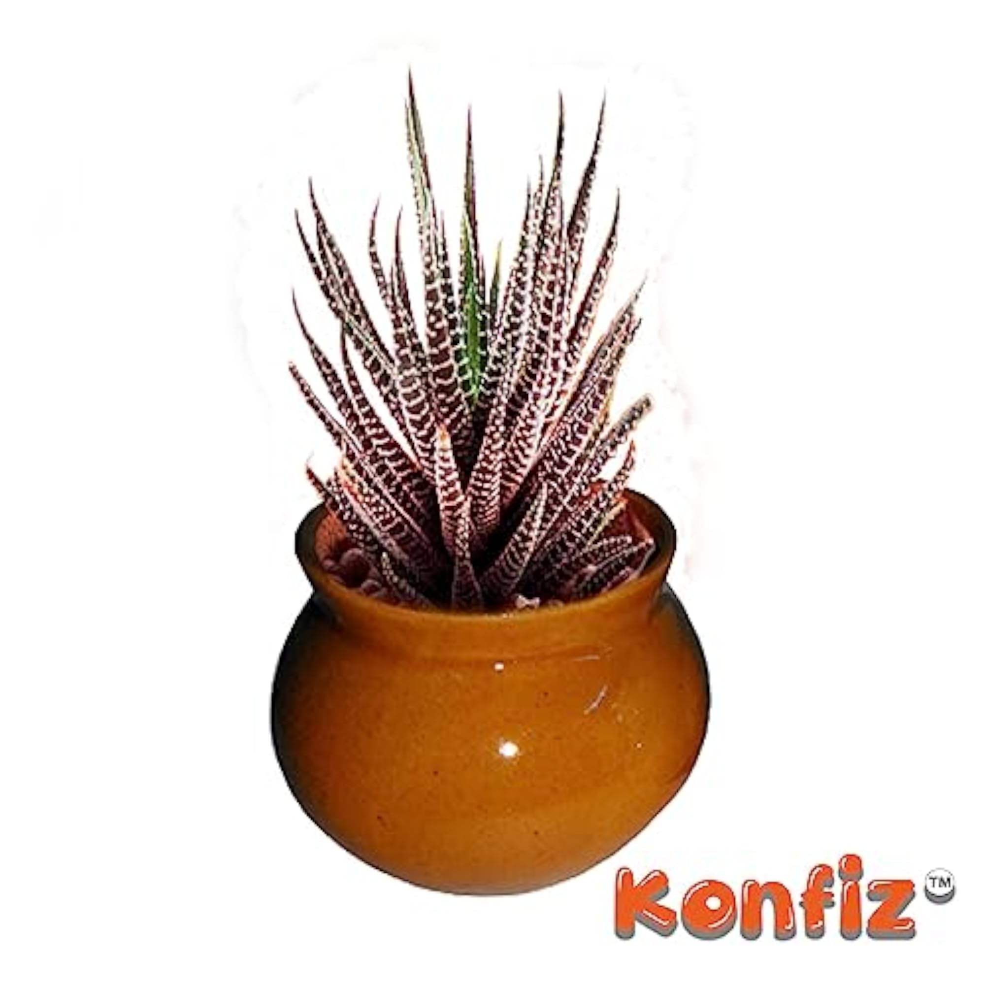 Ceramic Matka/Kulhad Set of 6 Small Round Pots for Kitchen