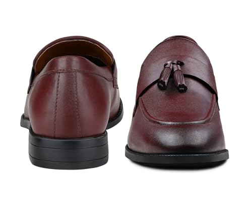 Image of LOUIS STITCH Men's Shoes Tassel Style Comfortable Moccasins for Men (RGMCPLTA)