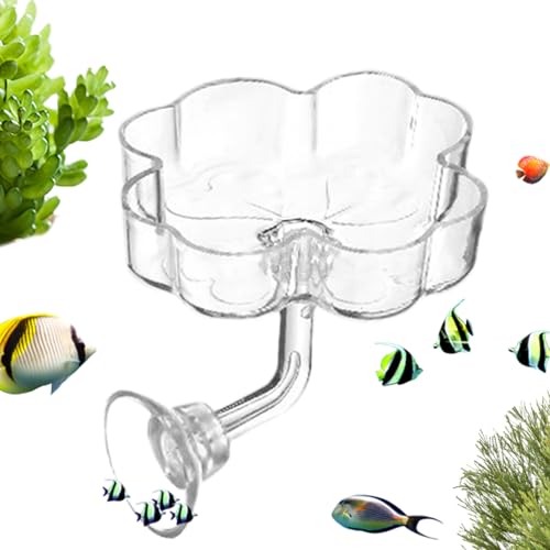 Alimentador de acuario - Bandeja de alimentación en forma de con para acuario - Cuenco de comida transparente para bandeja de pescado | para tortuga, Betta, Tetra, Camarón, agua dulce, agua