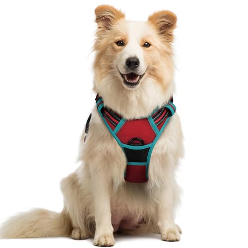 Image of rabbitgoo Dog Harness No Pull with 2 Leash Clips, Adjustable Soft Padded, Reflective Oxford No Choke Pet Vest with Easy Control Handle for Medium Sized Dogs, Red & Teal, M