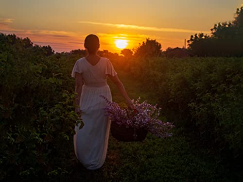 Essences Bulgaria Organic Clary Sage Floral Water 4.7 Fl Oz | 140Ml | 100% Natural, Spray For Face, Body, Hair, Anti-Age Refreshing Beauty Mist | Makeup Remover | Alcohol-Free | Hydrating | Vegan #TOP2