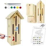 Nature's Way My First Butterfly House DIY Art Craft Kit - Creative Wooden Building & Painting STEM Gift for Kids and Adults