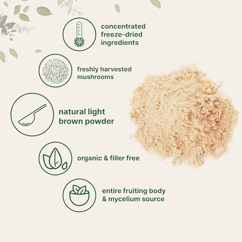 Micro Ingredients COT-0100 Organic Lions Mane Mushroom Supplement Powder thumb #3