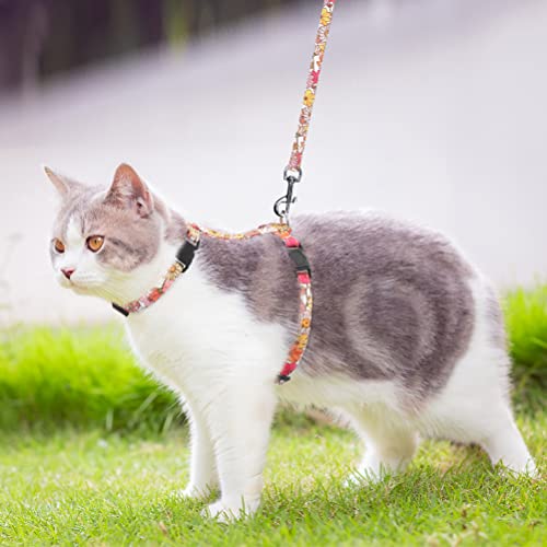 FATCOOLGOO Cat Leash and Harness Set - Adjustable Escape Proof Kitten Harness, Flower Cat Collar Breakaway with Bell and… - Image 6