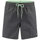 O'Neill Herren Pm Vert Boardshorts, Asphalt, L