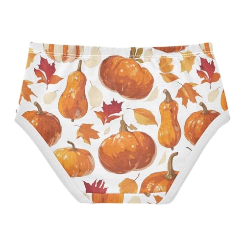 Wusikd Pumpkins Leaves Girls' Underwear Cotton Girls Briefs Soft Toddler Underwear 2T2