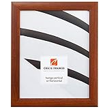 Craig Frames Contemporary Picture Frame, 18 x 24 Inch, Walnut Brown