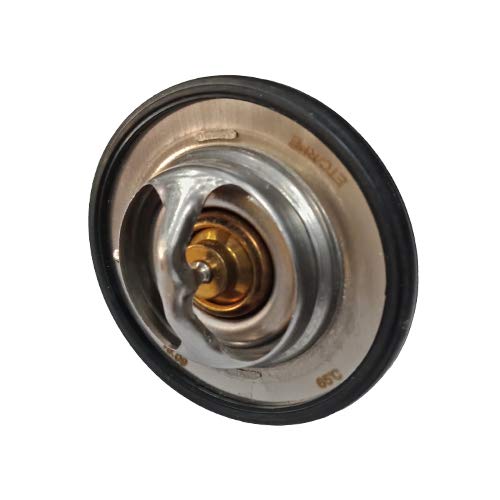 R P EThermostat Auto Part