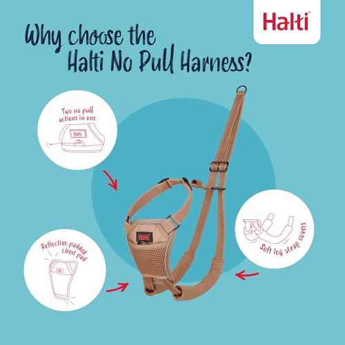 Image of Halti No Pull Dog Harness | Size XS, Desert Sand