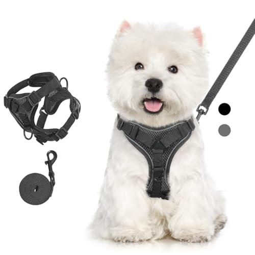 VavoPaw Pettorina per Cani con Guinzaglio da 1,5M, Imbracatura per Gatti Antifuga con Strisce Riflettenti e Rete Traspirante, Gilet Morbido e Regolabile per Cani Gatti, XL, Nero