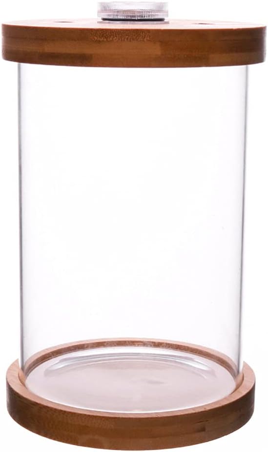 Fish Bowl with LED Lighting Glass Display Dome Cloche Mini Fish Tank Betta Aquarium with Bamboo Base for Home Living Room Bedroom Office Decoration Brown Fish Bowl with LED Lighting Glass Display Dome Cloche Mini Fish Tank Betta Aquarium with Bamboo Base for Home Living Room Bedroom Office Decoration Brown