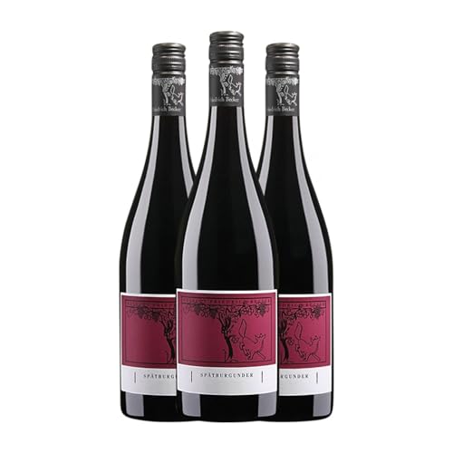 Friedrich Becker Pinot Negro Seco – Caja de 3 Botellas 75 cl | Vino Tinto Premium Friedrich Becker Pinot Negro Seco – Caja de 3 Botellas 75 cl | Vino Tinto Premium