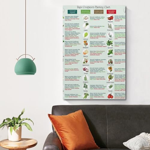 Image of GHJFDF Basic Companion Planting Chart Poster Garden Planting Types Reference Guide Wall Poster for Room Aesthetic Posters 12x18inch(30x45cm)
