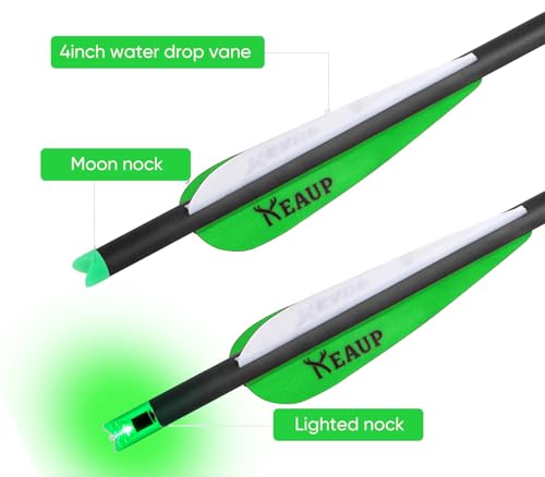 20 inch Carbon Crossbow Bolts with Crossbow Broadheads and Lighted Nocks, 6 Pack Hunting Carbon Crossbow Arrows for Archery Practice and Hunting