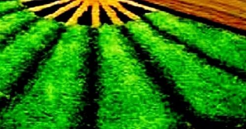 Image of ARBON Half Sunflower Front Back Doormat | 5D Shaggy Mat for Home Office | Half Sunflower Shaggy Doormat|Soft Floormat for Living Room Bedroom Kitchen, 17 x 34 Inches(Green)