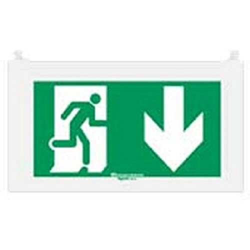 Placa Evacuación Vertical Para Baes Y Lsc Evacuación Con Leds Eco