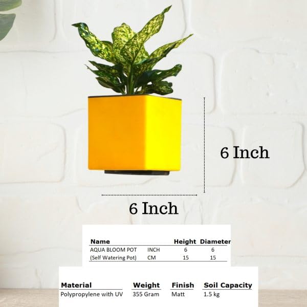 Image of Indian Discovery Self Watering Wall Hanging Planter|Hanging /Hooked Flower Pots for Home, Balcony, Vertical Garden Decor Flower Pots(1 PC, Yellow, Square) |6 Inch UV-Resistant Plastic Plant Pots