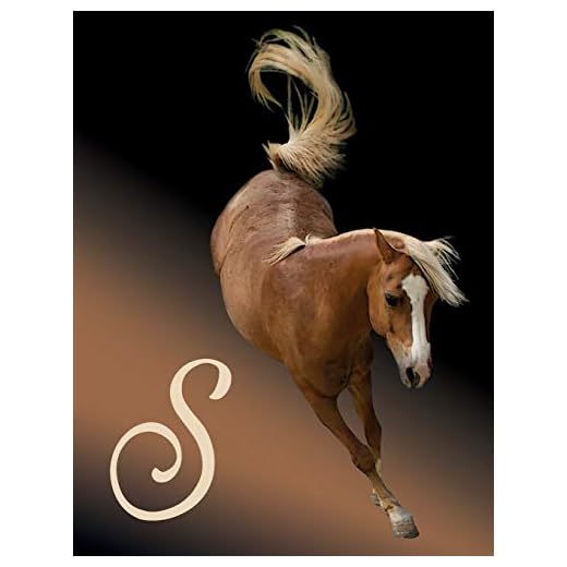 Horse Initial 'S' Monogram Notebook: Custom Blank Lined Journal Personalized for Names Starting with Initial Letter S (Jotter, Notepad, Composition Book)