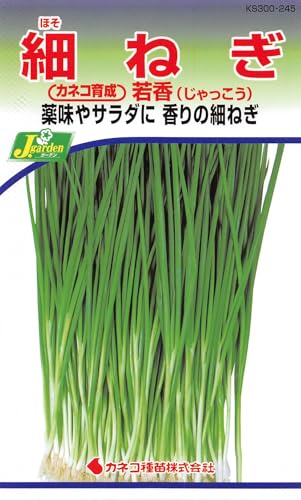 �J�l�R��c ���|�E�� KS300�V���[�Y �ፁ �ׂ˂� ���300 245