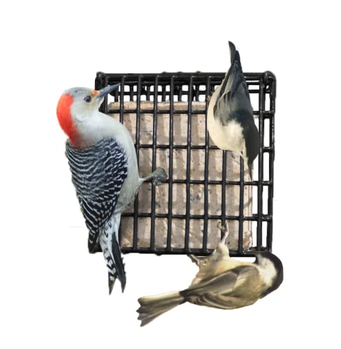Generic Suet Cake 12 Pack | Case Of 12 Suet Cakes For Wild Birds  thumb #2