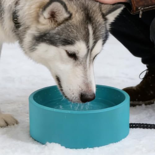 Chauffe-eau pour chat au jardin pour chiens et grands chiots - 8