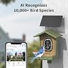 cbeyook Smart Bird Feeder Camera with AI Species Identifier | Solar Powered, 2.5K HD Video, Motion Alerts - Outdoor Garden & Birdwatching Gift #1