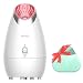 Lavinda Facial Steamer, Temp Controller Protection UV Light BPA Free Nano Ionic Home Spa Face Steam Mist Sprayer Moisturizing with Silicone Sonic Facial Brush