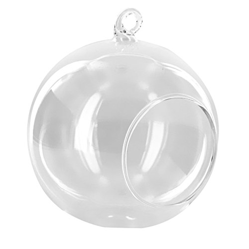 LOVIVER Hängender Blumentopf Glaskugel Vase Terrarium Mini Aquarium Aquarium Container, Kugel 10cm LOVIVER Hängender Blumentopf Glaskugel Vase Terrarium Mini Aquarium Aquarium Container, Kugel 10cm