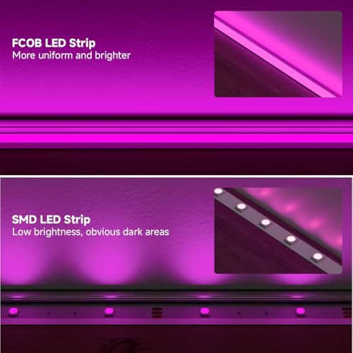 Image of 5mm Purple COB LED Strip Light DC24V Narrow Thin Flexible High Density Uniform Cob Strips 16.4FT UL Listed Dimmable CRI 90+ LED Tape Lights for Car Cabinets, No Controller /Adapter
