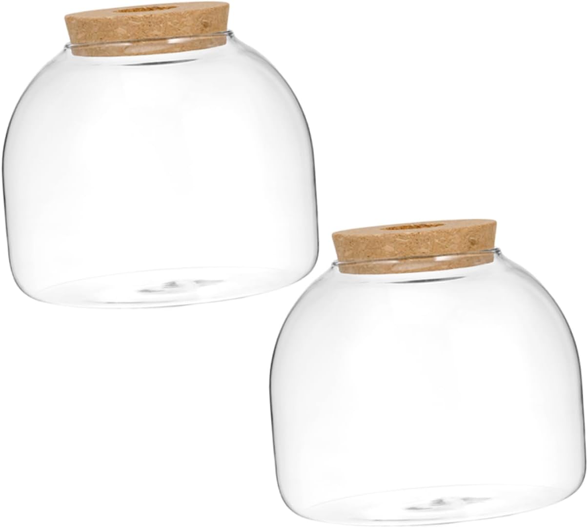 2pcs Glass Terrarium Planter Bottle for Landscape Decoration Glass for Indoor Plants Compact Design for Home Party Use
