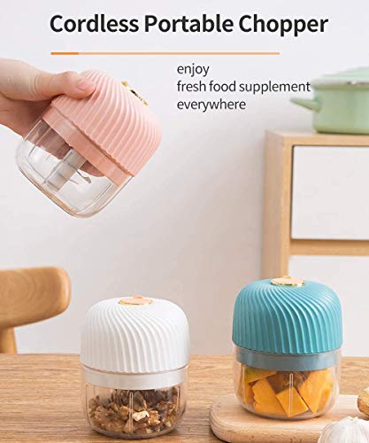 Dmofwhi Electric Garlic Chopper,Cordless Mini Chopper With Usb Rechargeable,304 Stainless Steel Blade,250Ml Portable Electric Mini Food Chopper For Garlic,Ginger,Onion,Meat-Blue #TOP4