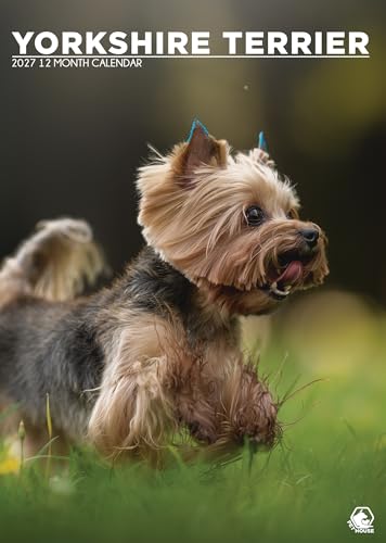 Calendario 2027 Yorkshire Terrier A3 el regalo perfecto de Navidad para los dog lovers