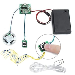 WayinTop MP3 Sound-Chip Modul Beschreibbares Programmierbare Musik Soundmodul 8 MB USB Herunterladbar Aufladbarer mit AA Batteriebox und Micro USB Kabel für DIY Geschenk