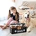 Contenedor para aperitivos para perros Imagen de Contenedor para aperitivos para perros