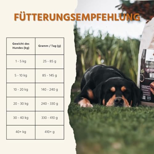 Wildfang® Hundefutter - Trocken - Getreidefreies Hundefutter - Premium Trockenfutter (2 kg, Wild mit Süßkartoffel mit Maulbeere)