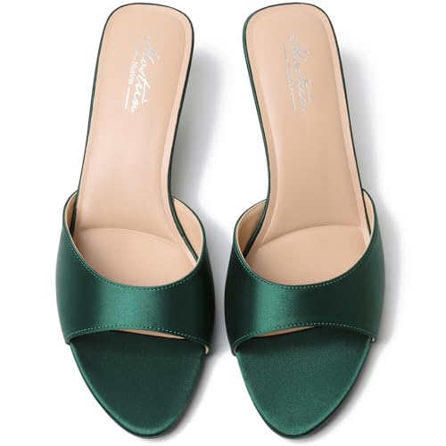 Image of Mostrin Kitten Heels for Women Pointed Toe Vintage Mules Heels Sexy Slip on Stiletto Backless Sandals for Party Wedding Daily