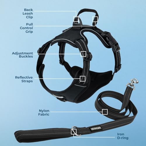 Image of Voyager Dog Harness Dual Leash Attachment No-Pull Control Adjustable Soft but Strong Pet Harness for Medium and Large Dogs with 3M Reflective Technology, Leash Set Black Nylon, XS (Chest: 13-16 inch)