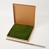 prefleur
