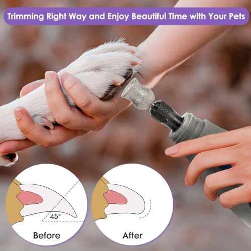 for-Dremel-Dog-Nail-Grinder-Diamond-Bits-Attachment-for-Dog-Nail-18-Painless-Nail-Grinder-Bits-Wont-Pull-Hair-or-Get-Hot-for-Large-Medium-Small-Dogs-and-Cats-Paws-Grooming - Cucciolini Doodles for-Dremel-Dog-Nail-Grinder-Diamond-Bits-Attachment-for-Dog-Nail-18-Painless-Nail-Grinder-Bits-Wont-Pull-Hair-or-Get-Hot-for-Large-Medium-Small-Dogs-and-Cats-Paws-Grooming