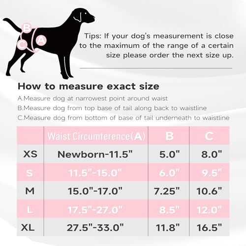 Image of Paw Legend Washable Reusable Female Dog Period Diapers for Heat Doggie Puppy Diapers for Female Dogs (3 Pack, Flower, Small)