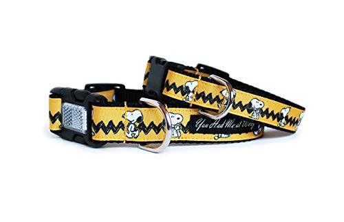 what is the best kind of cat litter