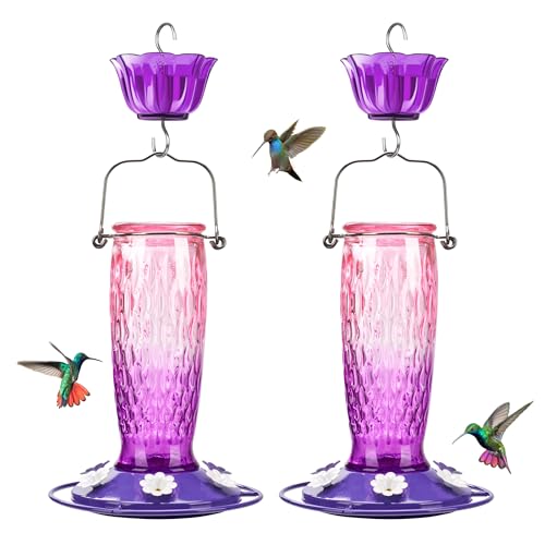 Image of Kingsyard 2 Pack Glass Hummingbird Feeders for Outdoors Hanging, Wild Bird Nectar Feeder with 6 Feeding Ports, 24 oz Leak-Proof, Pink & Purple (Ant Moat Included)