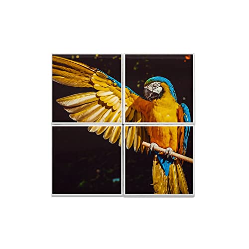 Carreaux céramique perroquet 40x40 cm pour une décoration murale exotique chic