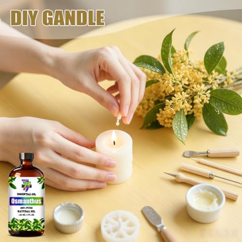 Image of Osmanthus Essential Oil for Diffuser Massage, Osmanthus Oil 4 oz