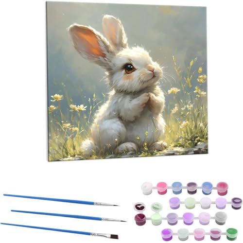 ETM G Paint by Numbers hG Lbg l ʂ肦 lphGLoXNtg  LoXA[g uVƃANG̋, ItBX CeA rO, ւ̃Mtg 60x60cm (t[