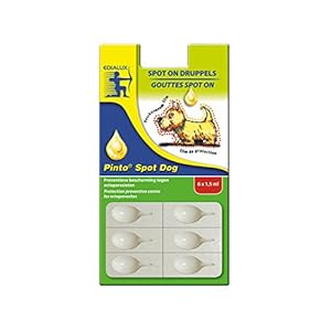Edialux Pinto Spot Tube 6 Lösungen antiparasites für Hunde