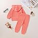 YOUNGER TREE Baby Girl Clothes Toddler Fall Winter Outfits Sweatshirt pants Sweatsuits for Infant Girl Baby Girl Clothing (Solid cotton pink+sunflower,12-18 Months)