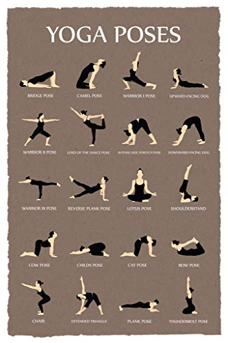 Image of Yoga Poses Poster Position Reference Studio How To Instruction Gray Cool Wall Art Print Poster 24x36