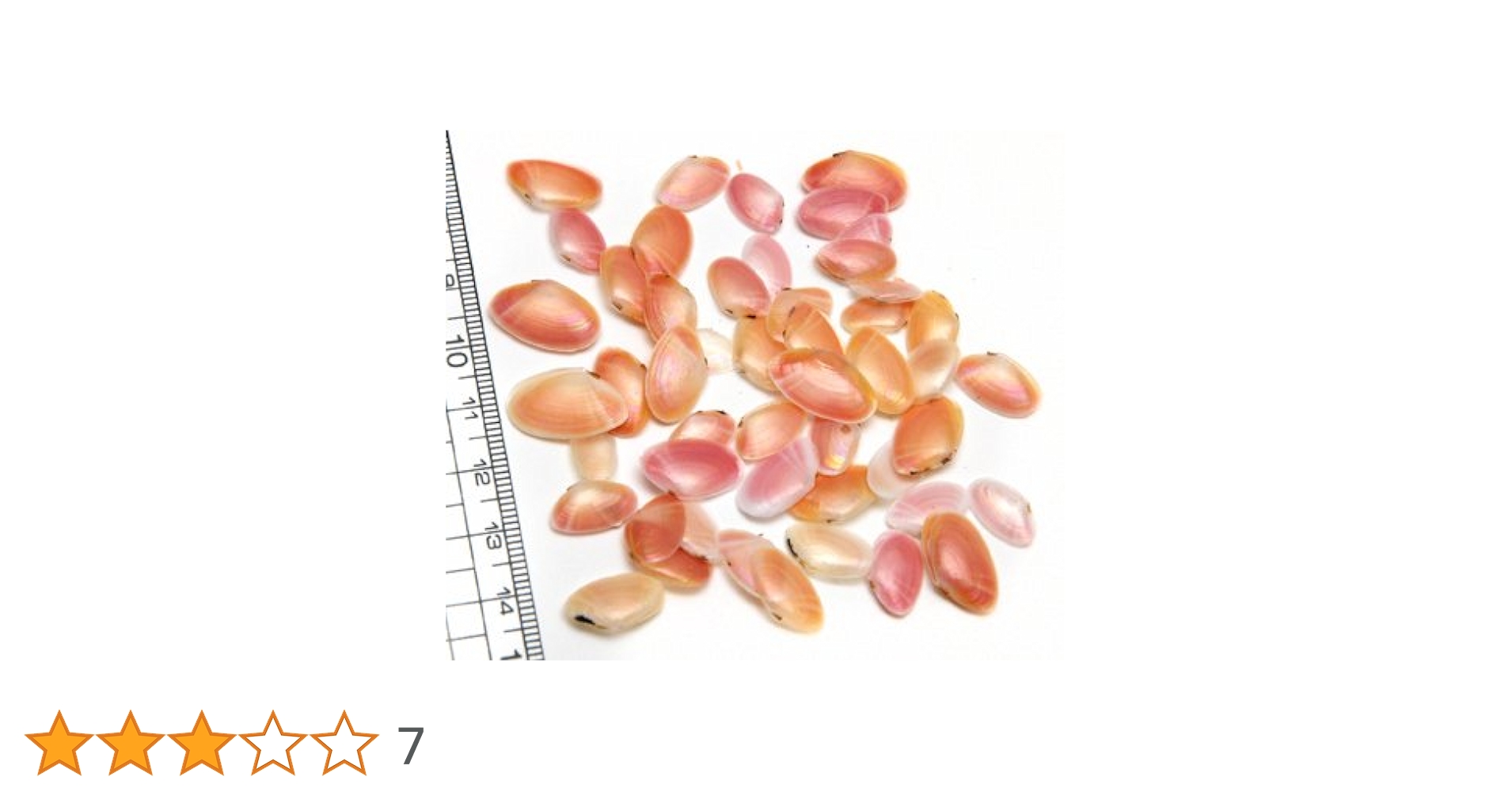Amazon.co.jp: 【小さな貝殻パーツ】サクラガイ 桜貝 さくら貝