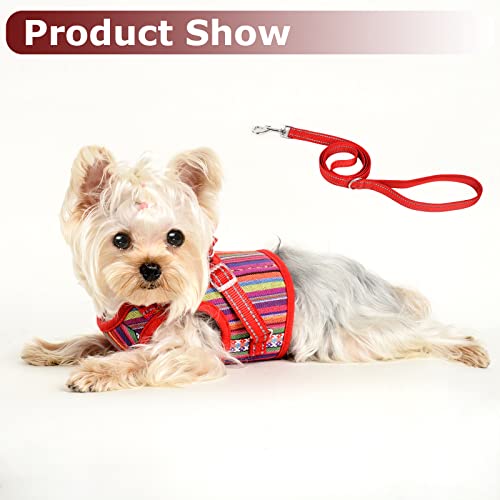 Soft Mesh Dog Harness And Leash Set Stripe Pet Puppy Cat Comfort Padded Vest No Pull Harnesses Chihuahua Harness (Red(Leash), Xx-Small) #TOP6